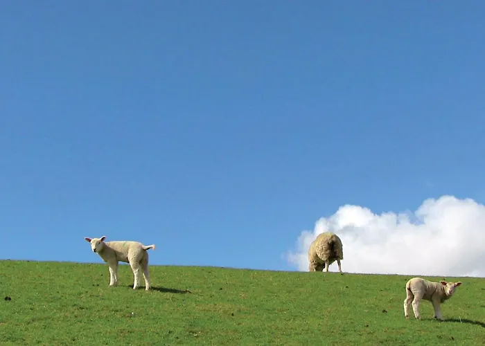 Gorgeous In With Kitchen